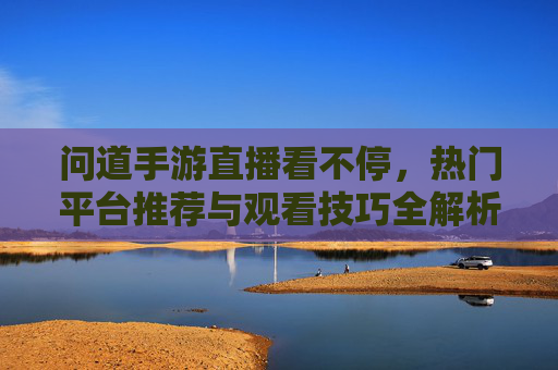 问道手游直播看不停，热门平台推荐与观看技巧全解析，问道手游直播看不停，热门平台推荐与观看技巧全解析