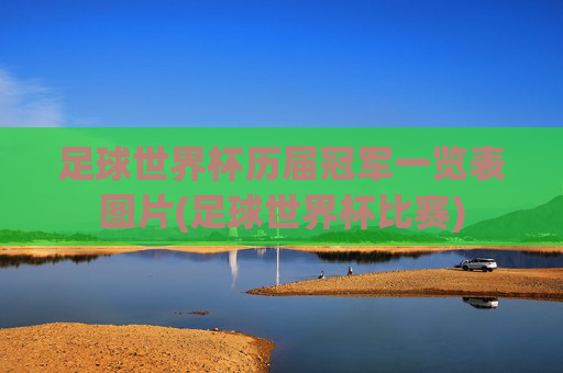 足球世界杯历届冠军一览表图片(足球世界杯比赛)