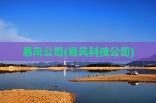 易风公司(易风科技公司)