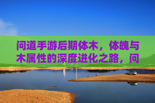 问道手游后期体木,体魄与木属性的深度进化之路,问道手游后期体木,体魄与木属性的深度进化之路