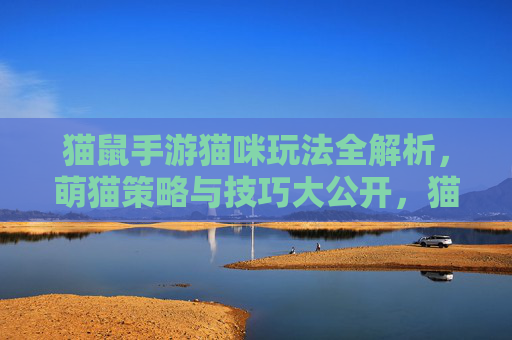 猫鼠手游猫咪玩法全解析,萌猫策略与技巧大公开,猫鼠手游猫咪玩法全解析,萌猫策略与技巧大公开