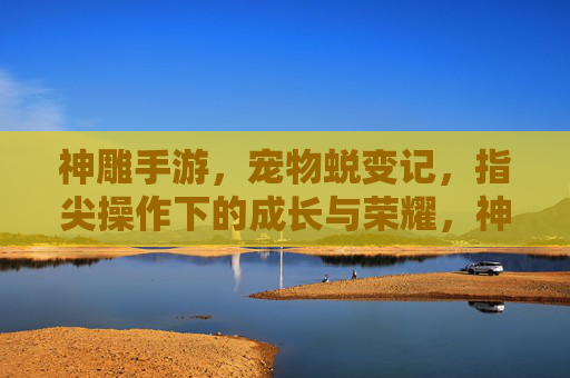 神雕手游，宠物蜕变记，指尖操作下的成长与荣耀，神雕手游，宠物蜕变记，指尖操作下的成长与荣耀