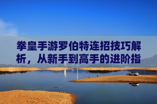 拳皇手游罗伯特连招技巧解析,从新手到高手的进阶指南,拳皇手游罗伯特连招技巧解析,从新手到高手的进阶指南