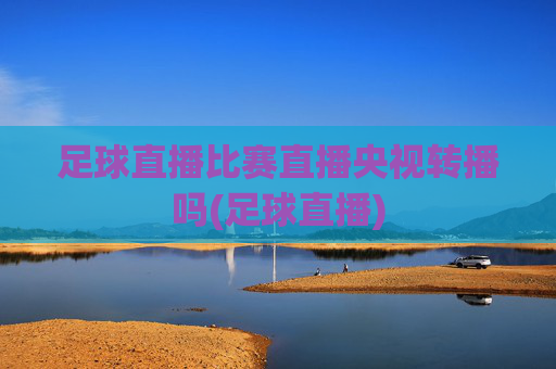 足球直播比赛直播央视转播吗(足球直播)