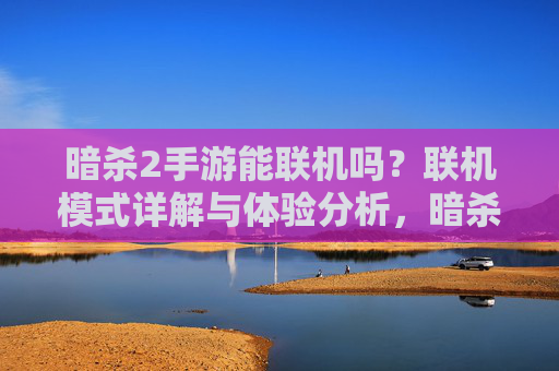 暗杀2手游能联机吗？联机模式详解与体验分析，暗杀2手游能联机吗？联机模式详解与体验分析