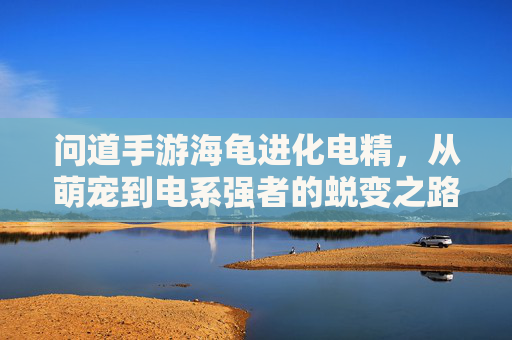 问道手游海龟进化电精,从萌宠到电系强者的蜕变之路,问道手游海龟进化电精,从萌宠到电系强者的蜕变之路