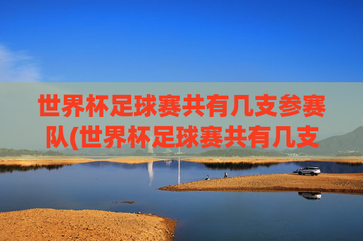 世界杯足球赛共有几支参赛队(世界杯足球赛共有几支参赛队伍)