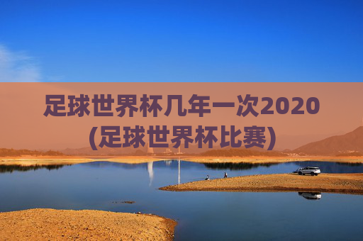 足球世界杯几年一次2020(足球世界杯比赛)
