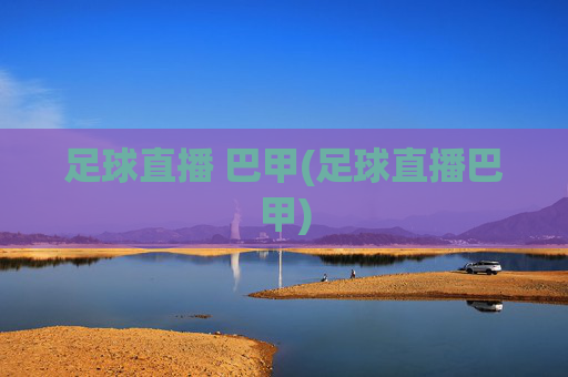 足球直播 巴甲(足球直播巴甲)