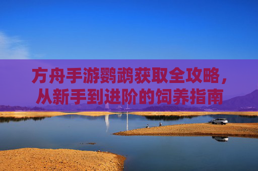 方舟手游鹦鹉获取全攻略，从新手到进阶的饲养指南