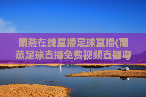 雨燕在线直播足球直播(雨燕足球直播免费视频直播粤语)