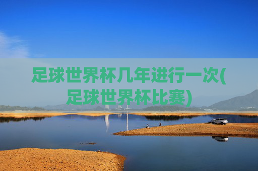 足球世界杯几年进行一次(足球世界杯比赛)