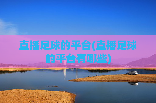 直播足球的平台(直播足球的平台有哪些)