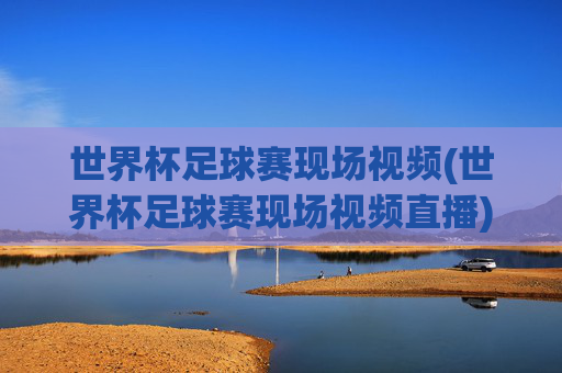 世界杯足球赛现场视频(世界杯足球赛现场视频直播)