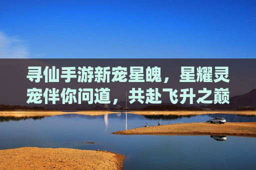 寻仙手游新宠星魄，星耀灵宠伴你问道，共赴飞升之巅，寻仙新宠星魄，星耀灵宠伴你问道，共赴飞升之巅