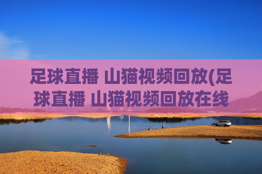 足球直播 山猫视频回放(足球直播 山猫视频回放在线观看)