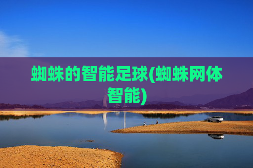 蜘蛛的智能足球(蜘蛛网体智能)