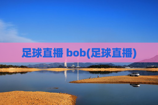 足球直播 bob(足球直播)