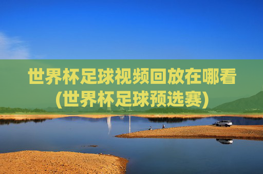 世界杯足球视频回放在哪看(世界杯足球预选赛)