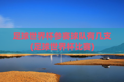 足球世界杯参赛球队有几支(足球世界杯比赛)