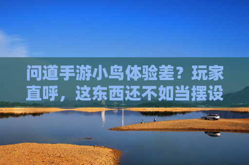 问道手游小鸟体验差？玩家直呼，这东西还不如当摆设，资源浪费