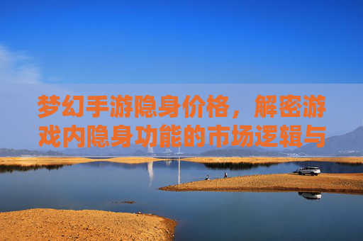 梦幻手游隐身价格，解密游戏内隐身功能的市场逻辑与玩家选择