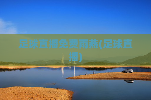 足球直播免费雨燕(足球直播)