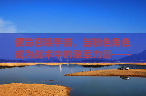 使命召唤手游,当粉色角色成为战术中的温柔力量——解析游戏内使命召唤手游角色粉色的魅力与战术价值