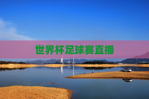 世界杯足球赛直播