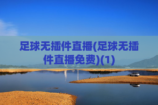 足球无插件直播(足球无插件直播免费)(1)