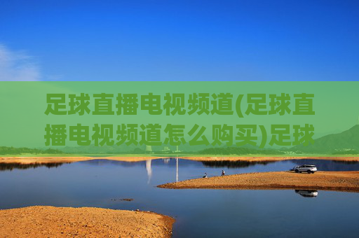足球直播电视频道(足球直播电视频道怎么购买)足球直播电视频道购买指南,如何获取足球直播电视频道?