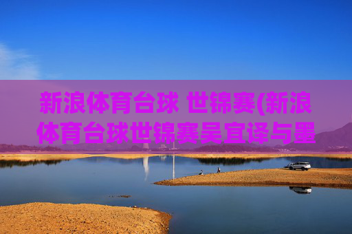 新浪体育台球 世锦赛(新浪体育台球世锦赛吴宜译与墨菲对决战况)台球世锦赛,吴宜译与墨菲对决战况