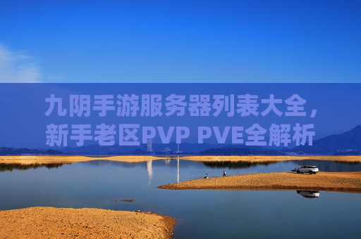 九阴手游服务器列表大全,新手老区PVP PVE全解析,如何找到你的专属服务器?