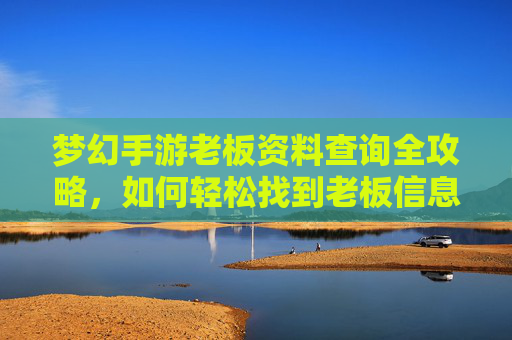 梦幻手游老板资料查询全攻略，如何轻松找到老板信息？