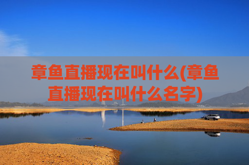 章鱼直播现在叫什么(章鱼直播现在叫什么名字)