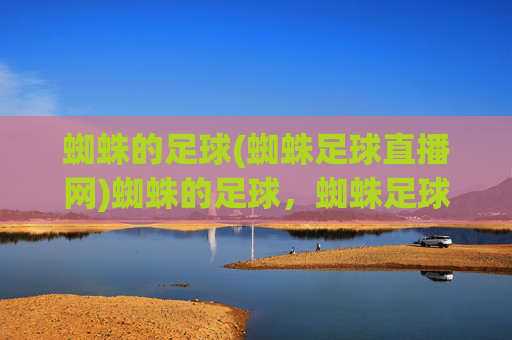 蜘蛛的足球(蜘蛛足球直播网)蜘蛛的足球，蜘蛛足球直播网，足球赛事直播平台