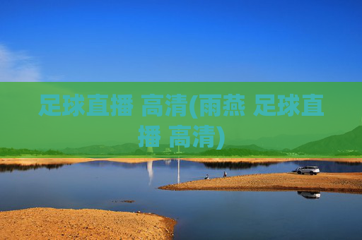 足球直播 高清(雨燕 足球直播 高清)