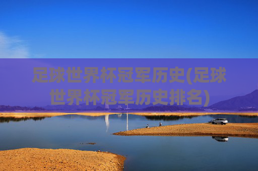 足球世界杯冠军历史(足球世界杯冠军历史排名)