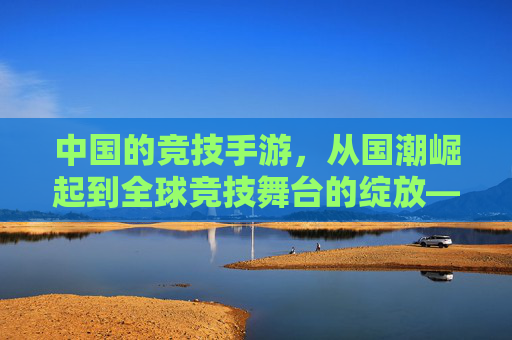 中国的竞技手游，从国潮崛起到全球竞技舞台的绽放——回应有中国的竞技手游嘛，中国竞技手游，从国潮崛起到全球竞技舞台的绽放