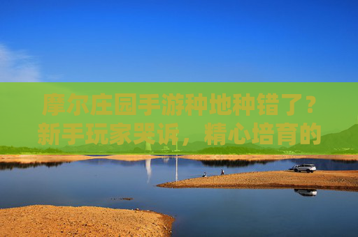 摩尔庄园手游种地种错了?新手玩家哭诉,精心培育的作物竟成了无用的烦恼,摩尔庄园手游种地种错?新手精心培育作物竟成无用烦恼