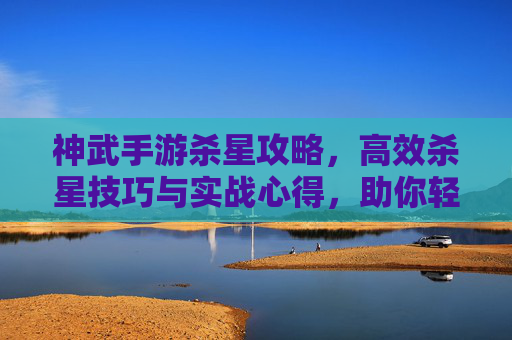 神武手游杀星攻略，高效杀星技巧与实战心得，助你轻松通关！