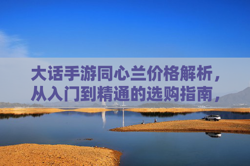 大话手游同心兰价格解析,从入门到精通的选购指南,大话手游同心兰价格解析,从入门到精通的选购指南