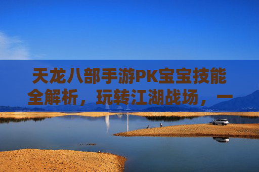 天龙八部手游PK宝宝技能全解析,玩转江湖战场,一招制敌的神兽秘籍