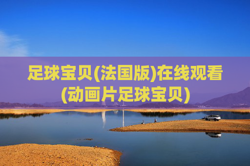 足球宝贝(法国版)在线观看(动画片足球宝贝)