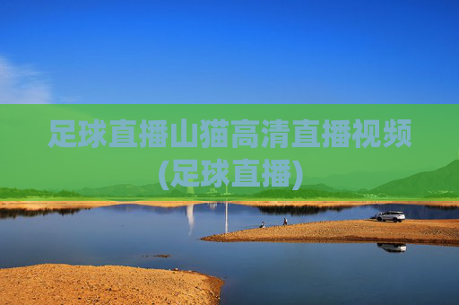 足球直播山猫高清直播视频(足球直播)