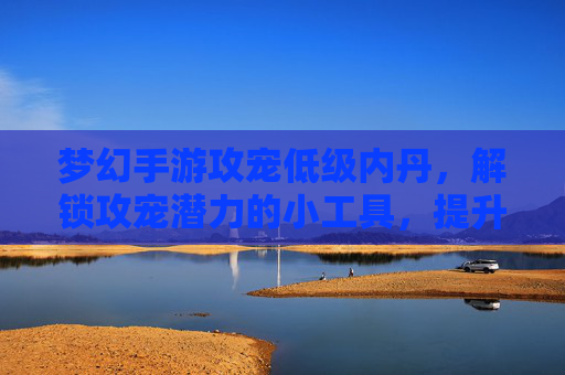 梦幻手游攻宠低级内丹,解锁攻宠潜力的小工具,提升战力有妙招