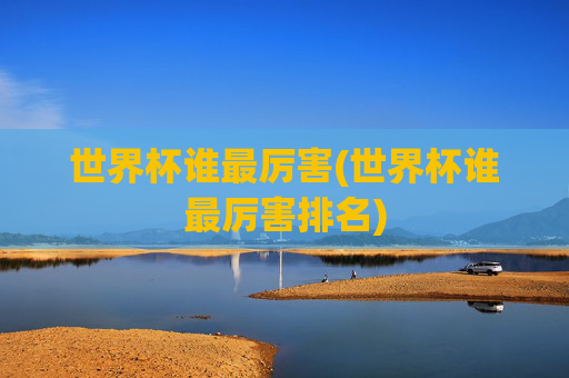 世界杯谁最厉害(世界杯谁最厉害排名)