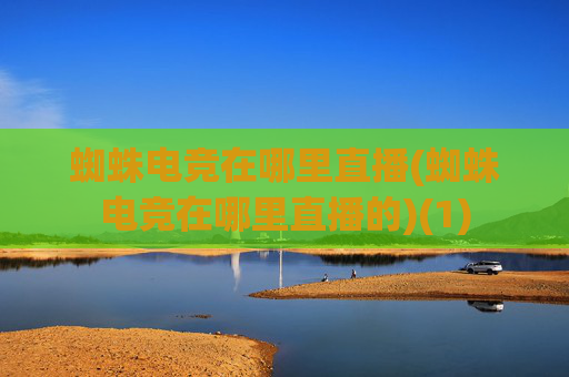 蜘蛛电竞在哪里直播(蜘蛛电竞在哪里直播的)(1)