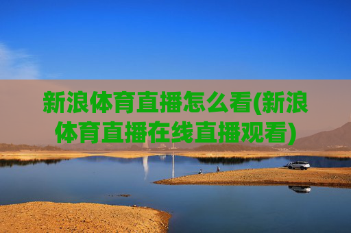 新浪体育直播怎么看(新浪体育直播在线直播观看)