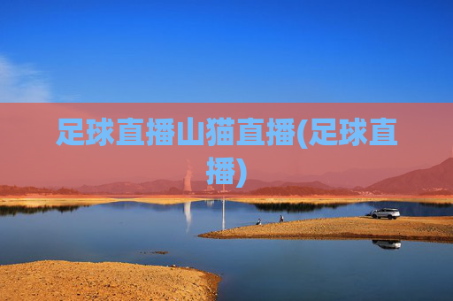 足球直播山猫直播(足球直播)